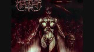 Paint it black cover: Marduk