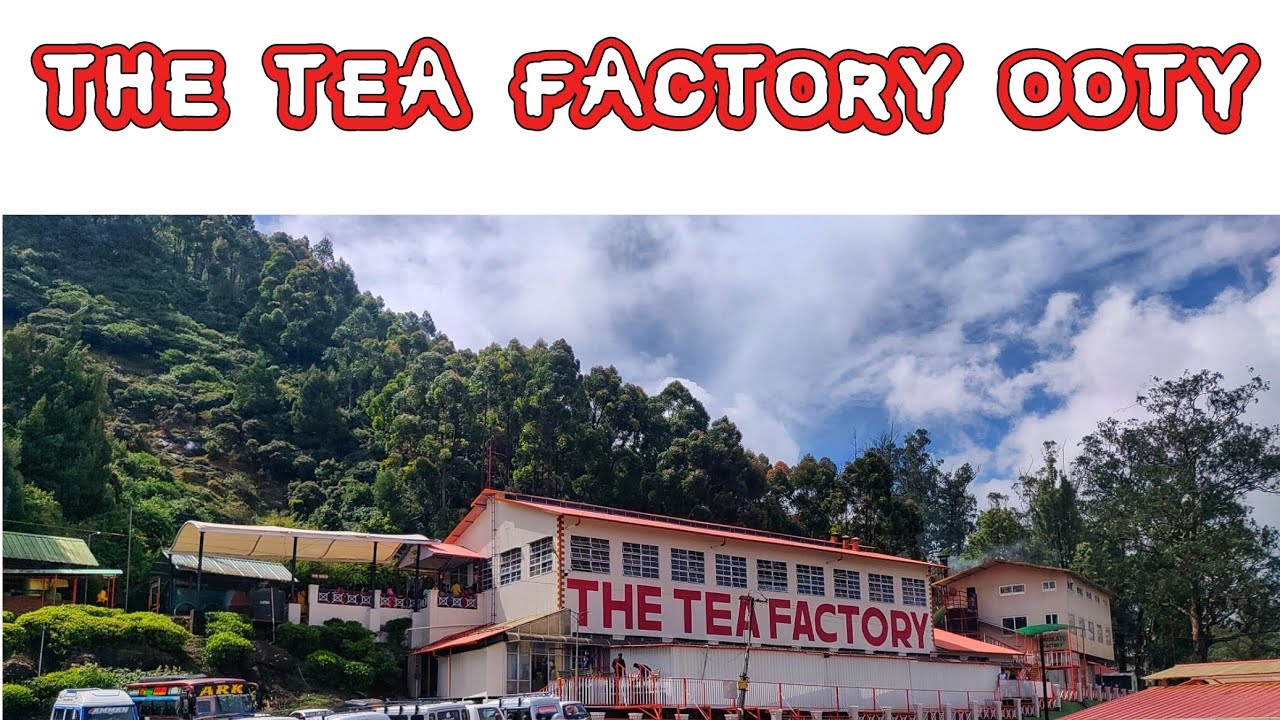 The Tea Factory Ooty Tea Museum And Chocolate Factory ooty The Tea Factory Ooty Tea Museum And Chocolate Factory ooty