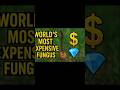 world's most expensive fungus #like #share #comment #subscribe