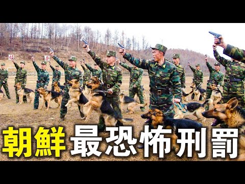 北韓最恐怖的刑罰！只因對金正恩鼓掌不夠誠意，竟放出120只狗進行“處決”！？