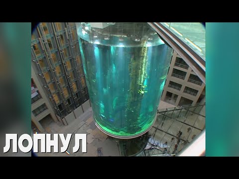 В Берлине лопнул крупнейший в мире цилиндрический аквариум на 1 млн литров воды