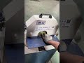 Symmetrical grinding of both sides of the parting line of the hardware tools,#welding #shortvideo