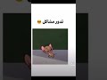 معروفه بل عيله اني