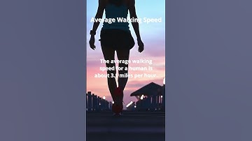 Average Walking Speed