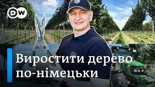 Як німці дерева вчать бути витривалими - Відкривай Німеччину з Михайлом Малим | DW Ukrainian