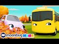 Hide and Go Seek with Friends in Fall | Cars, Trucks &amp; Vehicles Cartoon | Moonbug Kids