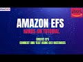 AWS EFS Tutorial | AWS Elastic File System Explained | AWS EFS Tutorial For Beginners
