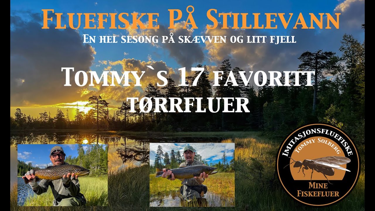 Tommy`s 17 favoritt tørrfluer til fluefiske på stillevann. Mine fiskefluer og imitasjonsfluefiske.