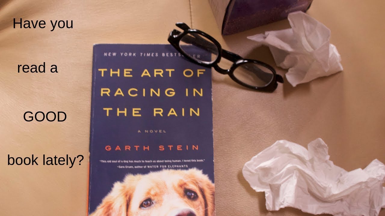 Book Review/ The Art of Racing in the Rain by Garth Stein - YouTube