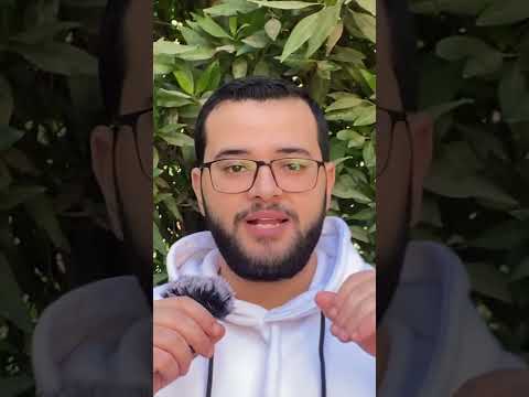 تفتكر الكلب بينزله سوفت وير    معلومات