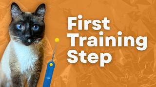 How to Charge a Clicker for Cat Training | Beginner Clicker Training Series, Part 1