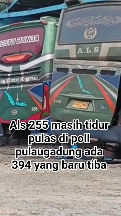 Als 255 masih tidur pulas di poll pulaugadung 394 sedang parkir tiba dari medan #busmania #alsmania