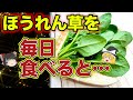 【ゆっくり解説】ほうれん草のとんでもない効果とは！毎日食べるとどうなる？絶対に気を付けなくてはいけないこと