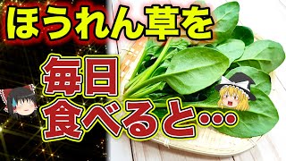 【ゆっくり解説】ほうれん草のとんでもない効果とは！毎日食べるとどうなる？絶対に気を付けなくてはいけないこと