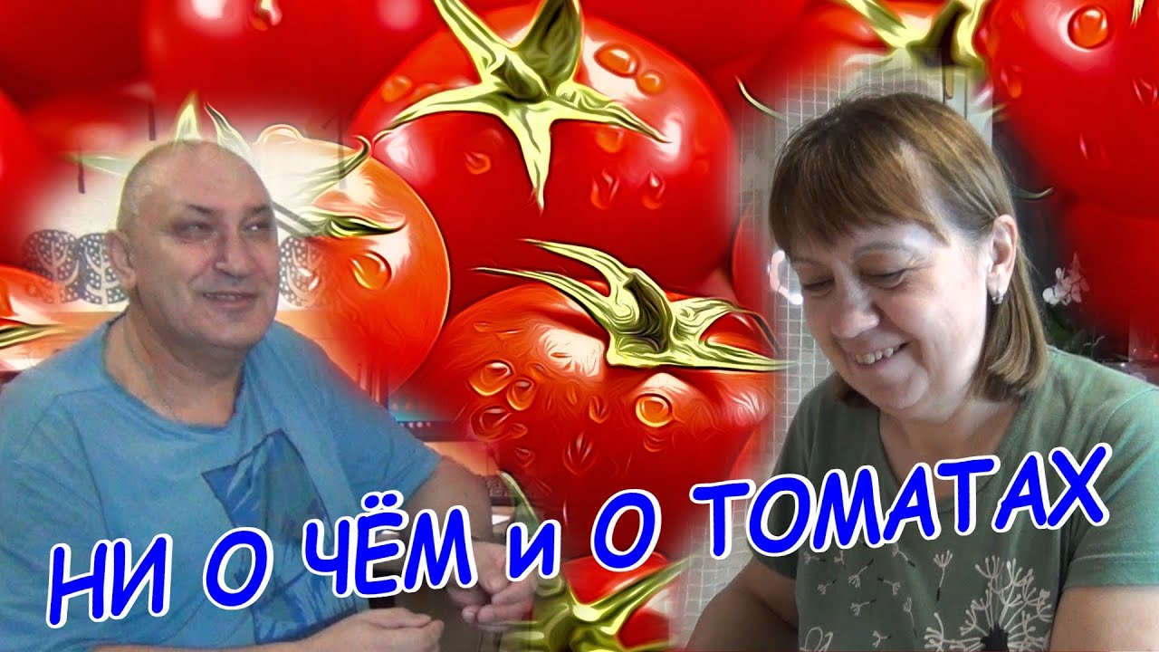 НИ О ЧЁМ и О ТOМАТАХ