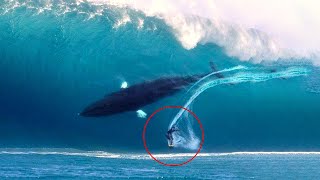 Incredible Moments Caught on Camera #4