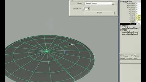 Storm for Maya - Squash Stretch