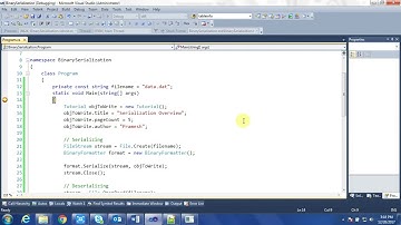 Binary Serialization and Deserialization