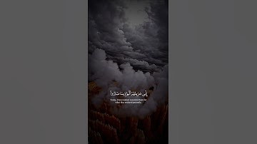 ﴿إني جزيتهم اليوم بما صبروا إنهم هم الفائزون﴾ تلاوة مؤثرة | اسلام صبحي