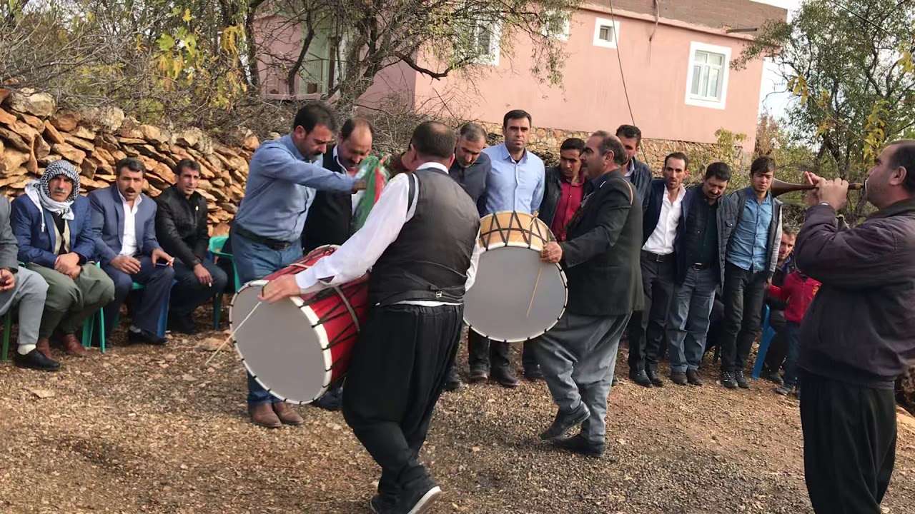 Haydan umaylar aşireti