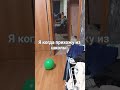 23 октября 2025 г.