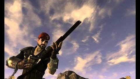 Fallout New Vegas: bug with reload shotgun