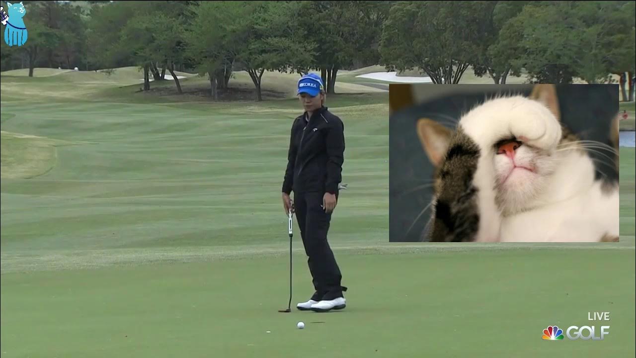Golf cat