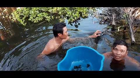 Bắt ốc len Miền Tây