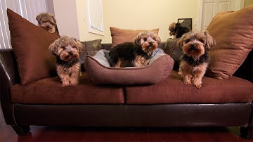 Photoshop Disaster: Clone Yourself! |