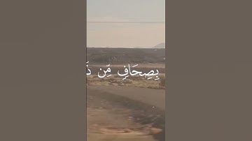 سورة الزخرف اية {70}
