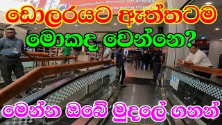 USD Rate today l Foreign currency exchange rates in Airport Katunayake month of February 2026
