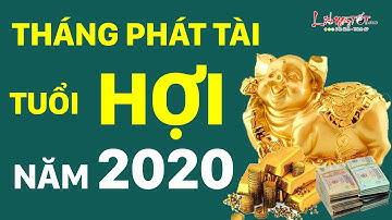 Tháng Phát Tài Tuổi Hợi Năm 2020 Đến Tháng Này Tiền Tiêu Không Phải Nghĩ - Tử Vi 12 Con Giáp