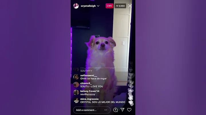 Crystal Leigh and Michael Clifford Instagram Live ...