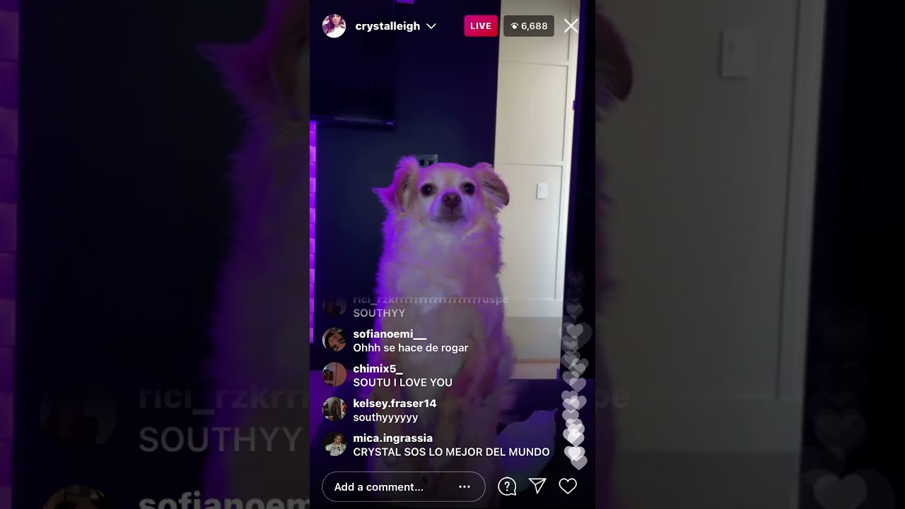 Crystal Leigh and Michael Clifford Instagram Live 2021