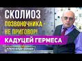 СКОЛИОЗ ПОЗВОНОЧНИКА — НЕ ПРИГОВОР! КАДУЦЕЙ ГЕРМЕСА l АЛЕКСАНДР ЗАРАЕВ 2021 l АРКАНЫ ТАРО.КАРТЫ ТАРО