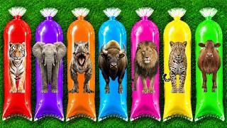 MENEMUKAN : Hewan  Sapi, Gajah, Macan Tutul, Jerapah, Zebra, Badak, Beruang, Kucing, Bebek, T-rex