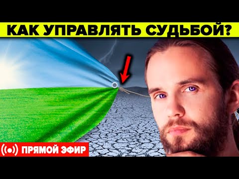 Видео: О чём вас предупреждает вселенная? А.Ивашко