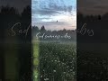 sad summers vibes - ВЕЗДЕ https://band.link/mPQ9B https://band.link/mPQ9B тгк: spidywebmen (спайди)