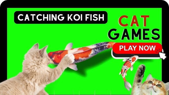 CAT GAMES - 🐟 CATCHING FISH 1 HOUR VERSION (VIDEOS FOR CATS TO