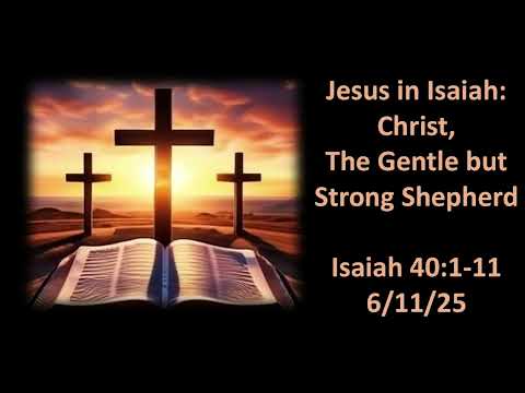 Related Embedded Video Item Thumbnail