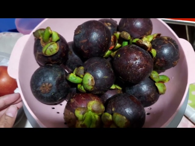 Mangosteen Vlog class=