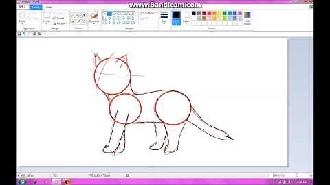 How To Draw A Realistic Cat In Microsoft Paint