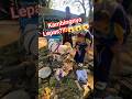 Awass!!! kambingnya lepas! 😱#fypシ゚viral #trending #funny #kambing #goat #shorts #youtubeshorts