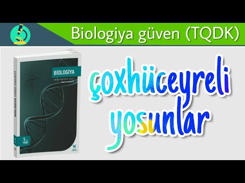 Biologiya dersi 31. Çoxhüceyrəli yosunlar