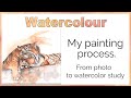 My painting process from photograph to watercolor study // Watercolor Tiger 🐯