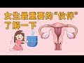 女生最重要的“小伙伴”， 你真的了解过吗？