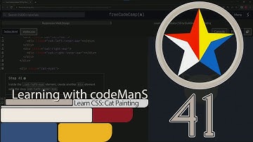 FreeCodeCamp | Learn Intermediate CSS by Building a Cat Painting: Step 41 | Responsive Web Design