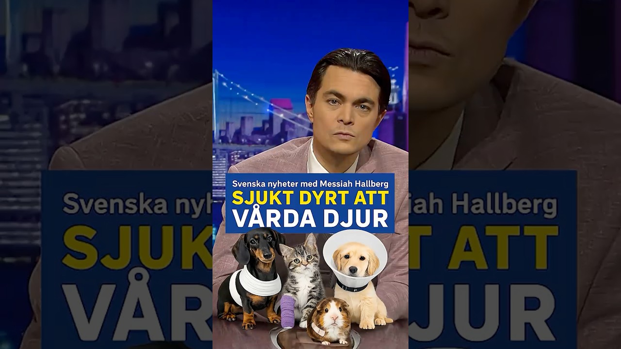 Sjukt dyrt att vårda husdjur