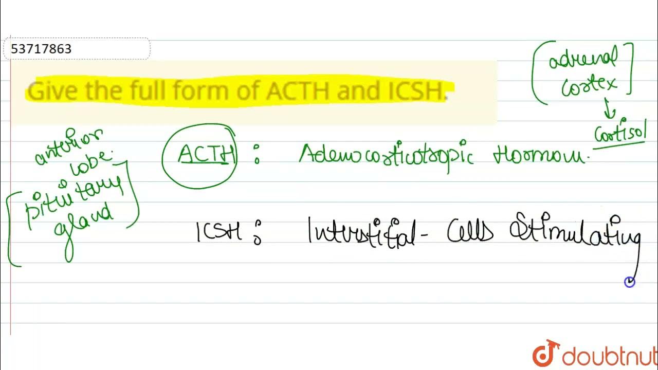 give-the-full-form-of-acth-and-icsh-11-chemical-coordination-and