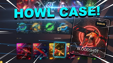 I Pulled a Howl From a $400 Case?! | KeyDrop CSGO Gambling | AnoN